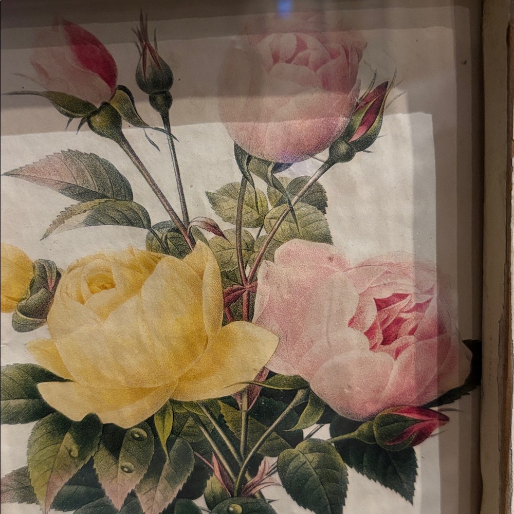 Framed Vintage Rose Print - Picture 2 of 4
